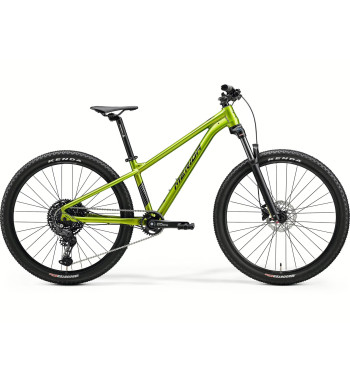 MERIDA MATTS J. CHAMPION – juniorské MTB v barvě Fall Green